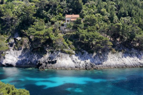  Secluded fisherman's cottage Cove Bacva, Korcula - 9475  Корчула